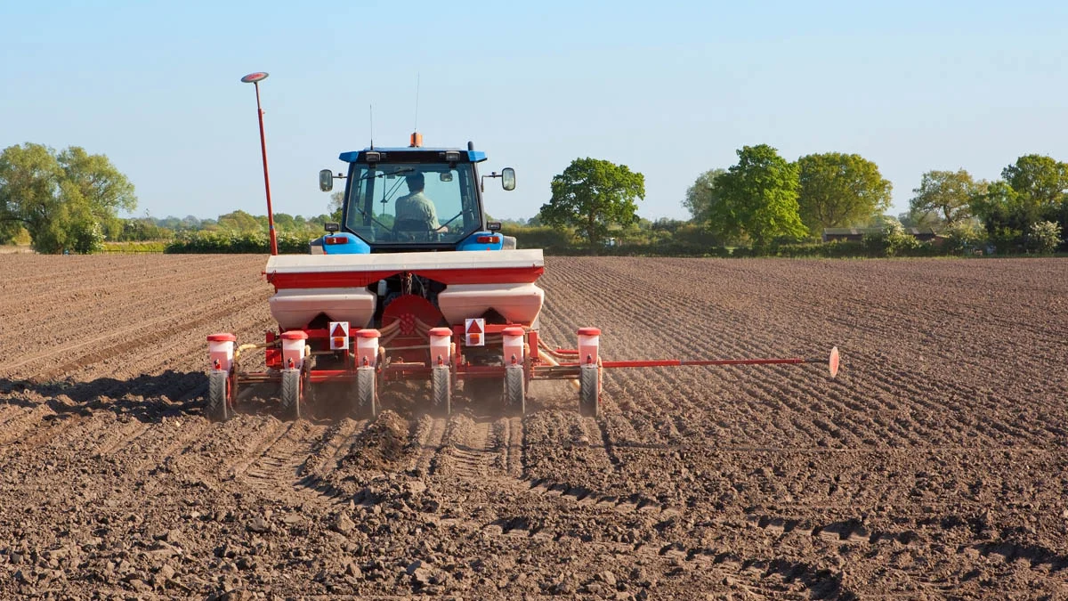 Plantatorzy cukrowni Gostyń rozpoczęli siew buraków - Zdjęcie główne