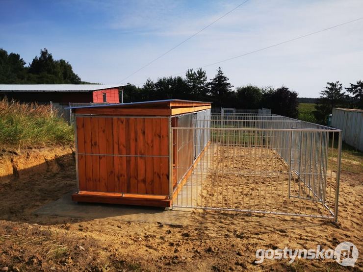 Przytulisko dla psów w Smogorzewie funkcjonuje na terenie tamtejszego PSZOK-u