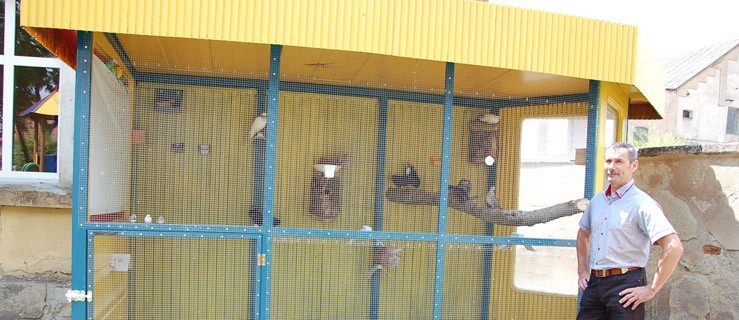 Hodują ptaki na przystanku autobusowym - Zdjęcie główne