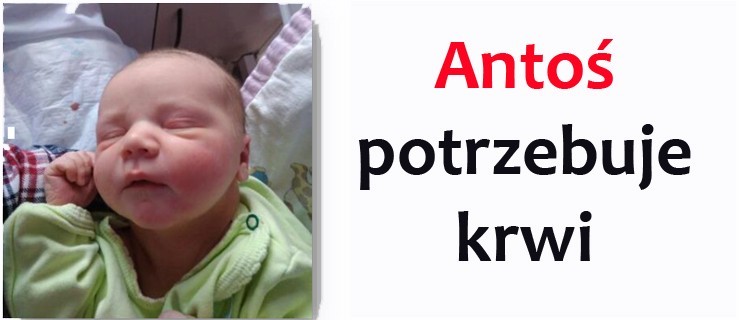 Rodzice proszą o krew dla Antosia - Zdjęcie główne