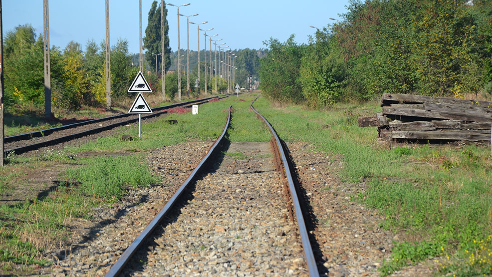 Konsultacje w sprawie rewitalizacji linii kolejowej prowadzącej z Gostynia do Leszna. Mieszkańcy mają głos! - Zdjęcie główne