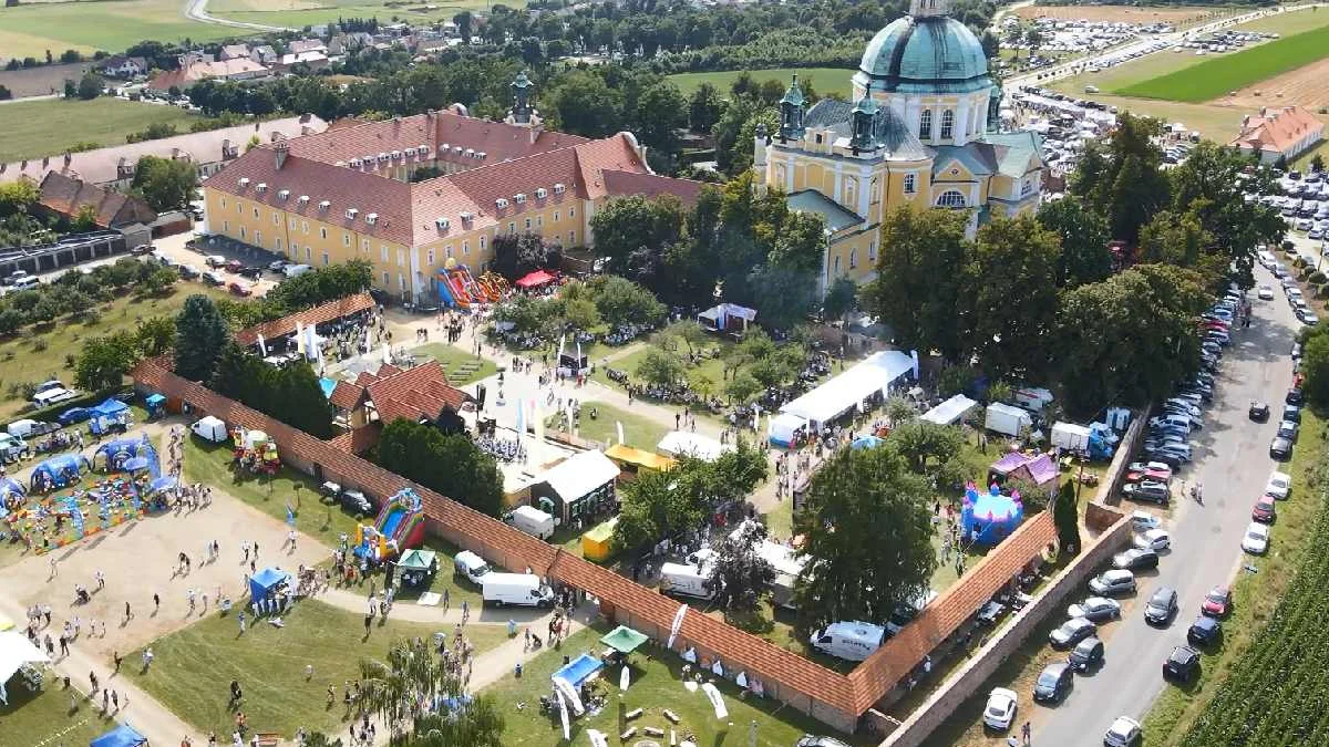 polecany artykuł