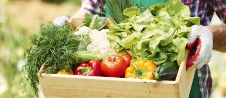 Rekordowe niskie ceny warzyw. Zrób przetwory! - Zdjęcie główne