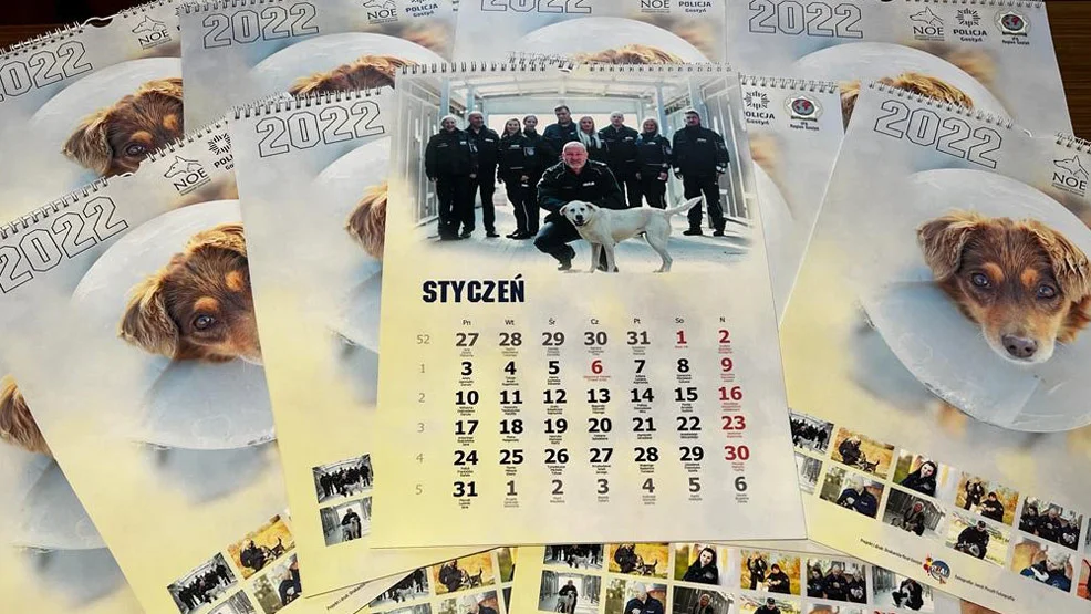 Wylicytuj kalendarz dla psów ze schroniska pod Gostyniem - Zdjęcie główne