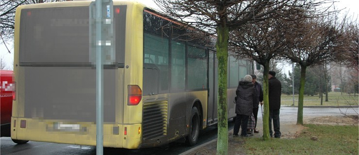 Inny będzie przewoźnik, zmienią się niektóre przystanki i trasy - Zdjęcie główne