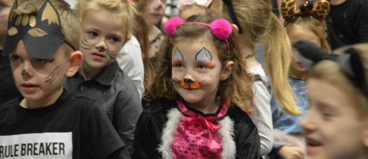 Wielbicieli kotów nie brakowało  - Zdjęcie główne