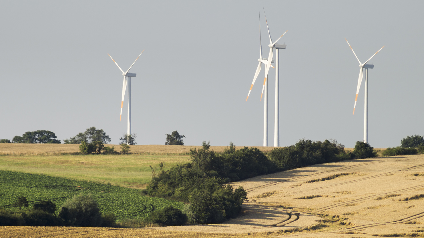 Przez farmy wiatrowe nie można wybudować domu? - Zdjęcie główne