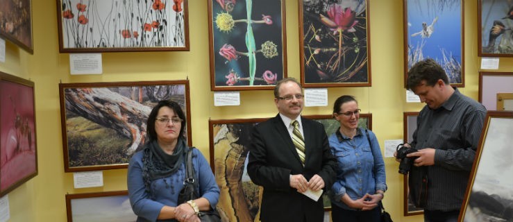 Dzika przyroda w muzeum - Zdjęcie główne