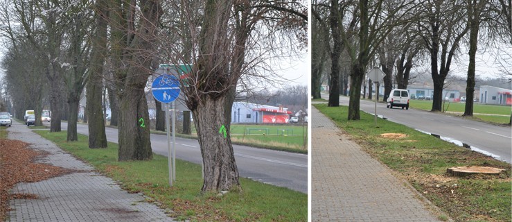 Doczekali się. Wycięto drzewa przy wyjeździe - Zdjęcie główne