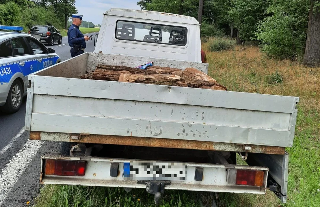 Borek Wlkp. Pakowali drewno na przyczepę. Na widok radiowozu czmychnęli pod samochód - Zdjęcie główne