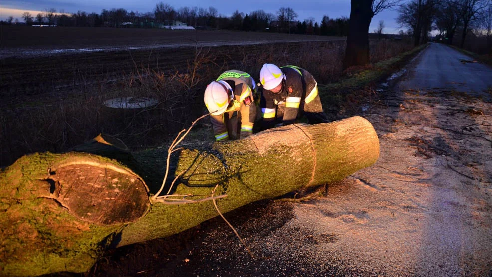 Zerwane linie energetyczne, dachy, powalone drzewa. Do straży pożarnej wciąż napływają zgłoszenia - Zdjęcie główne