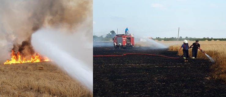 Ktoś rzucił niedopałek? Do tego susza i pożar gotowy - Zdjęcie główne