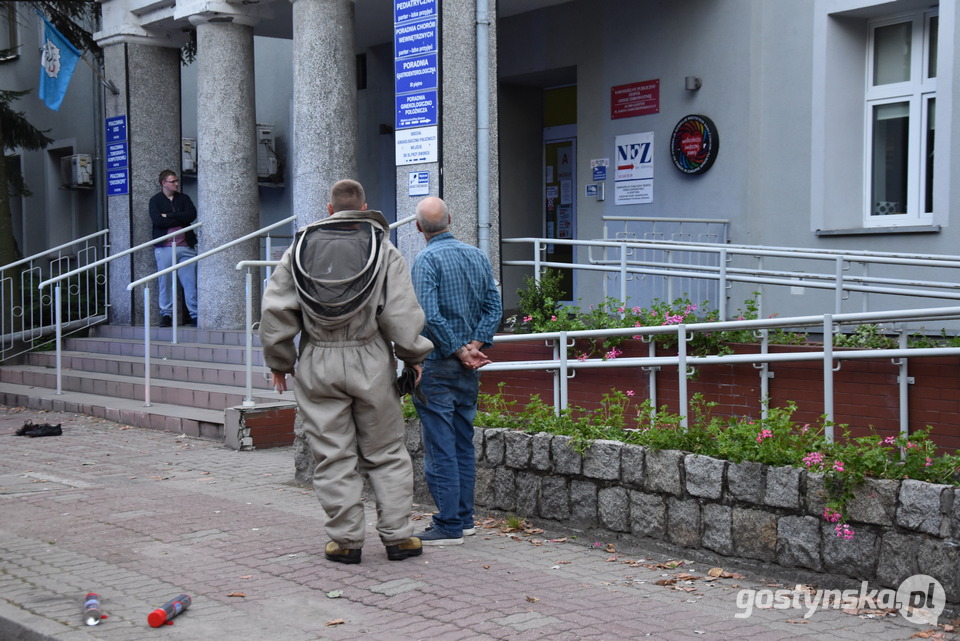 Gostyń. Niepożądani lokatorzy w szpitalu usuwani byli przez strażaków