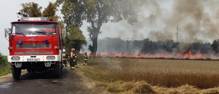 Siedem jednostek straży walczyło z ogniem - Zdjęcie główne