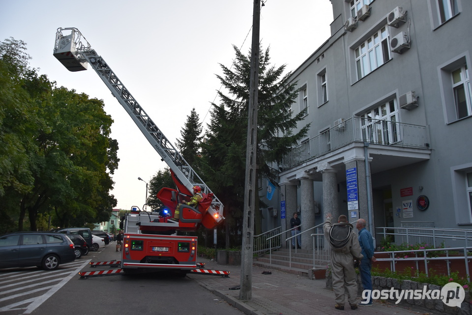 Gostyń. Niepożądani lokatorzy w szpitalu usuwani byli przez strażaków