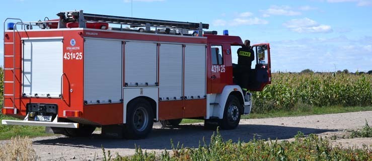 Straszył dziki. Wezwano straż - Zdjęcie główne