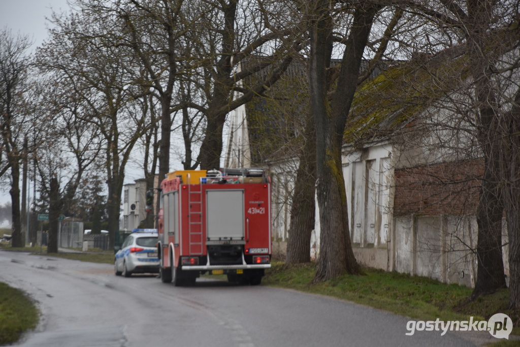 Czajkowo (gm. Gostyń). Mężczyzna na łuku drogi Gostyń - Poniec nie zapanował nad kierownicą auta i uderzył w drzewo