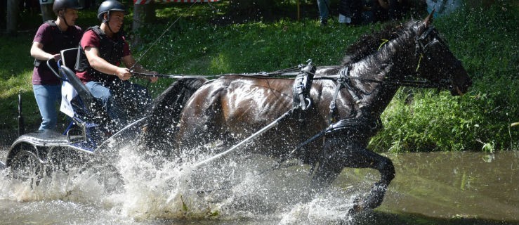 Konie i powozy w Rokosowie już w ten weekend - Zdjęcie główne
