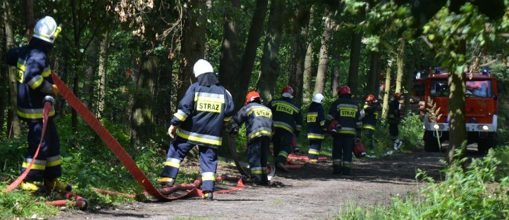 Cała kompania strażaków walczyła z pożarem lasu - Zdjęcie główne