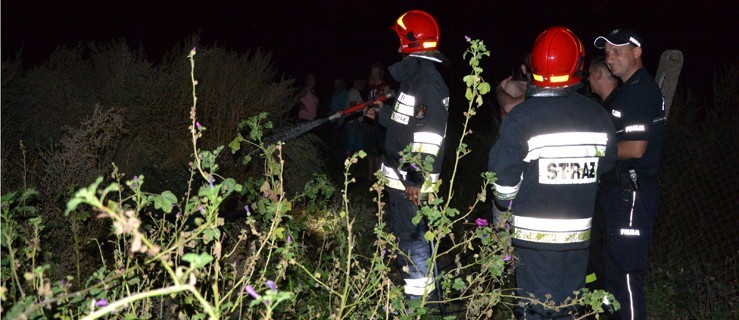 Strażacy wezwani do kupki śmieci - Zdjęcie główne