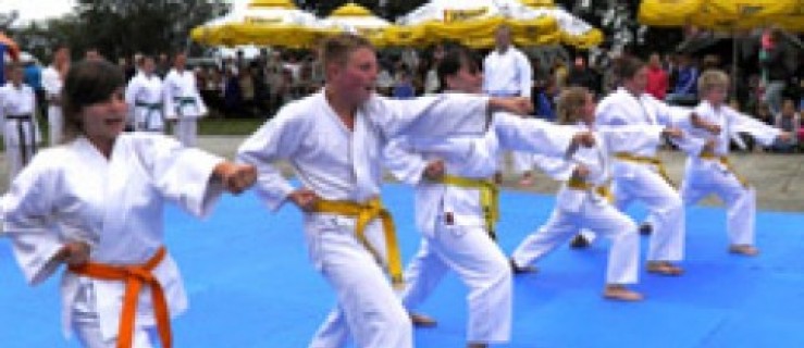 Karatecy dali pokaz swoich umiejętności - Zdjęcie główne
