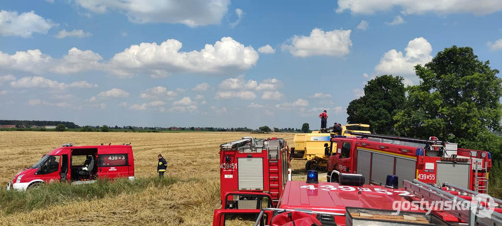 Borek Wlkp. Pożar zboża na pniu w Trzecianowie