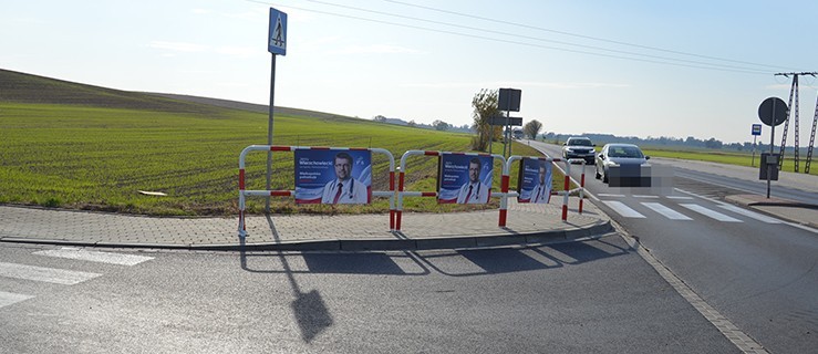 Policja i straż miejska usuwały plakaty - Zdjęcie główne