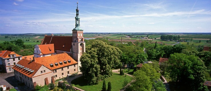 Stary Benedykt potrzebuje wsparcia - Zdjęcie główne