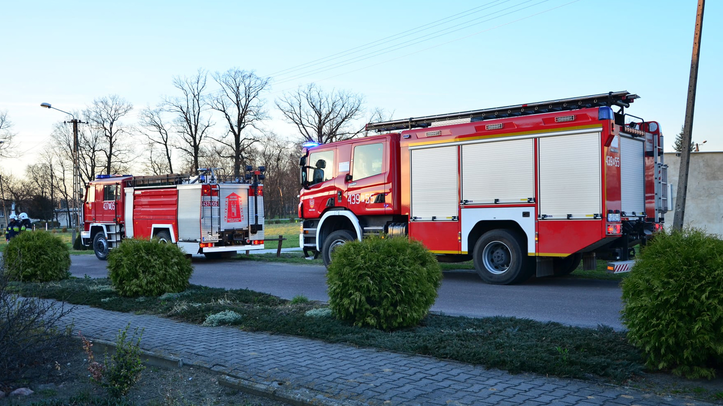 Jeleń wpadł na samochód. Gaz ulatniał się z butli. To nie była spokojna niedziela - Zdjęcie główne