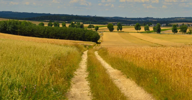 Dzierżawa gruntów mocno poszybuje w górę - Zdjęcie główne