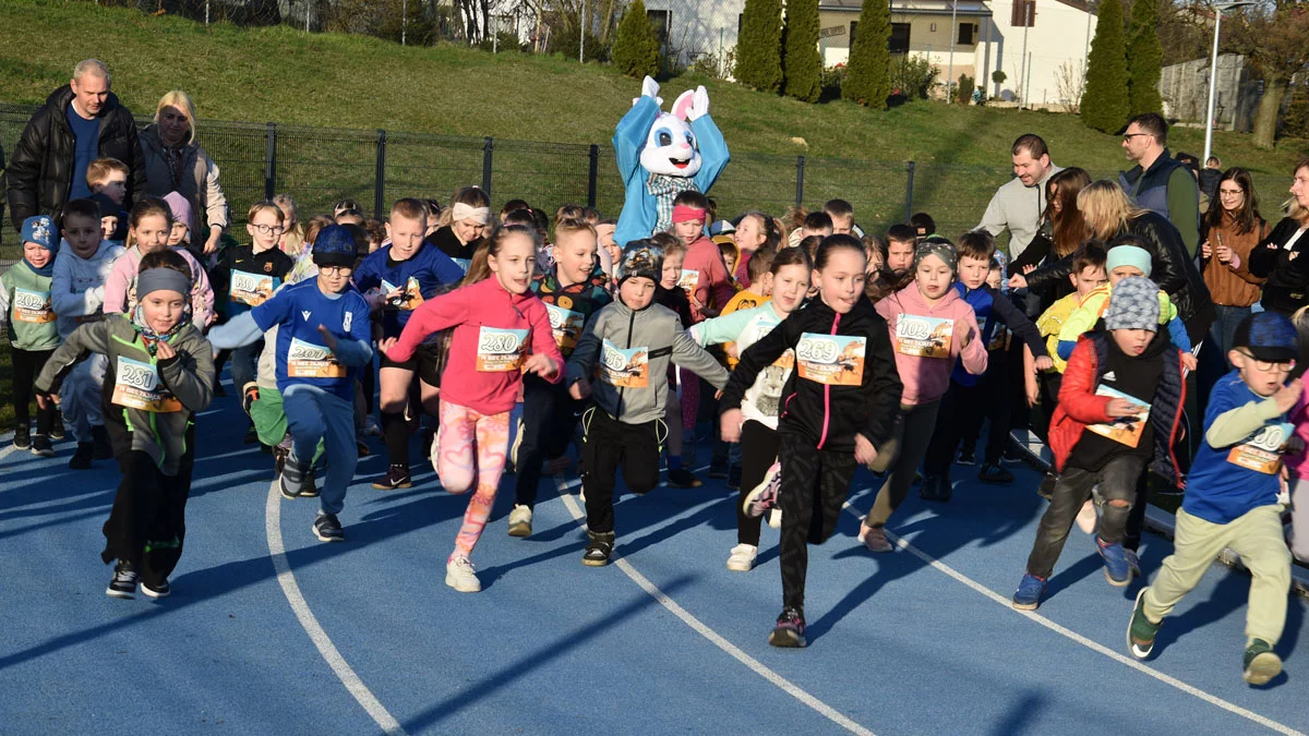 IV edycja Biegu Zająca za nami. Zainteresowanie było ogromne - kilkaset osób na stadionie