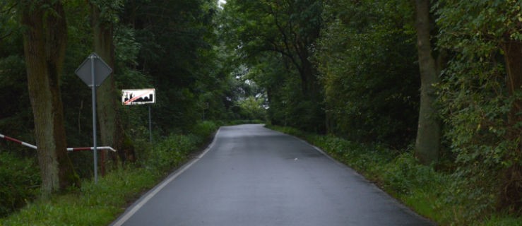 Wytną krzewy na niebezpiecznym zakręcie - Zdjęcie główne