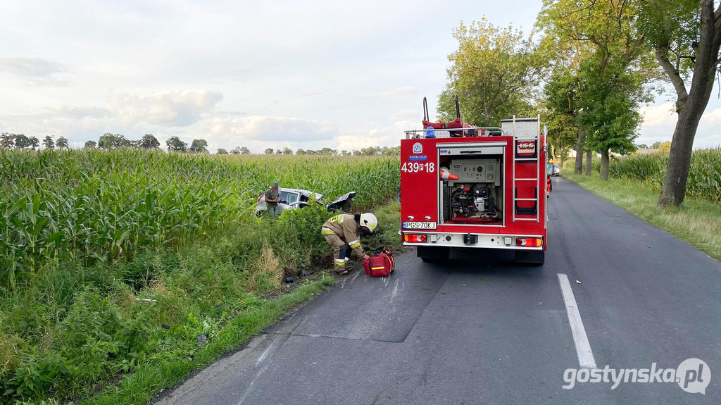 Poniec. Kolizja na drodze powiatowej Poniec-Gostyń, na wyjeździe z Drzewiec w kierunku Śmiłowa