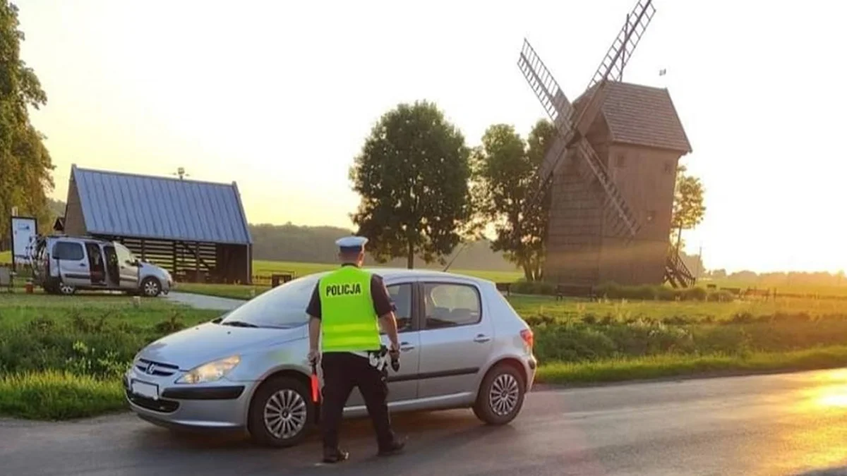 Gostyńska policja kontrolowała kierowców.  Dla niektórych użytkowników dróg "trzeźwy", znaczy "pijany" - Zdjęcie główne