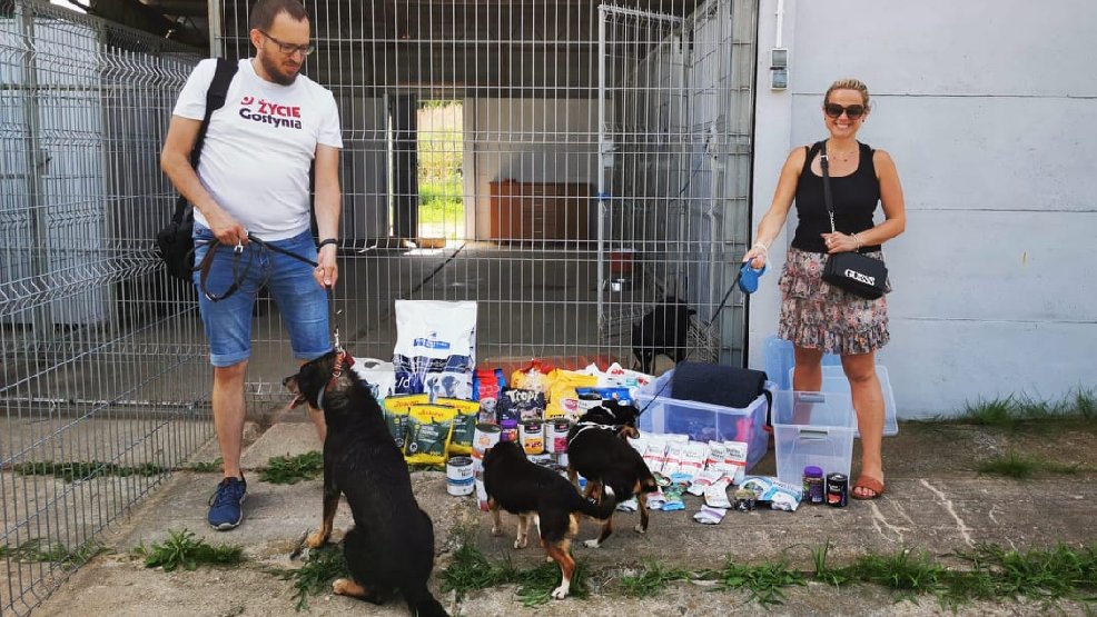 Zbiórka karmy dla przytuliska dla psów w Smogorzewie przyniosła nadspodziewany efekt - Zdjęcie główne