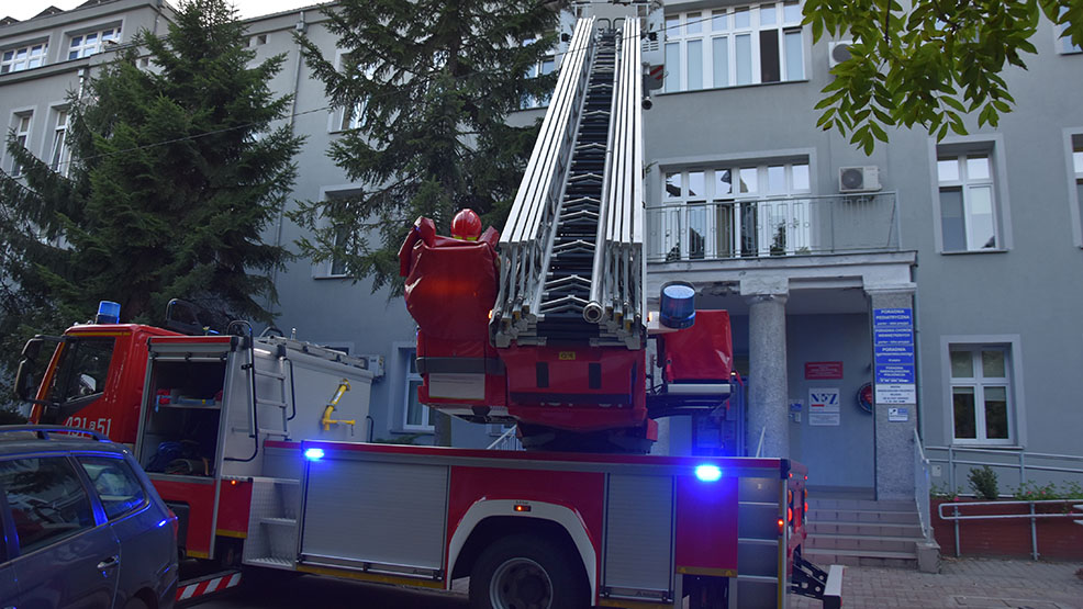 W szpitalu w Gostyniu usuwano „niepożądanych lokatorów”. Potrzebna była pomoc strażaków - Zdjęcie główne