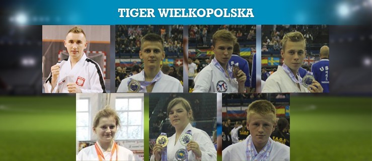 Sylwetki kandydatów plebiscytu - TIGER Wielkopolska - Zdjęcie główne