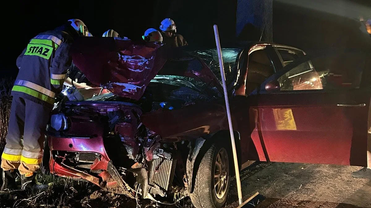 Nocny wypadek w Kromolicach. Pijany roztrzaskał auto na drzewie - Zdjęcie główne