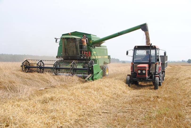 [WR] Żniwa 2021. Jak sypią zboża? Kombajn John Deere w akcji [VIDEO + ZDJĘCIA]  - Zdjęcie główne