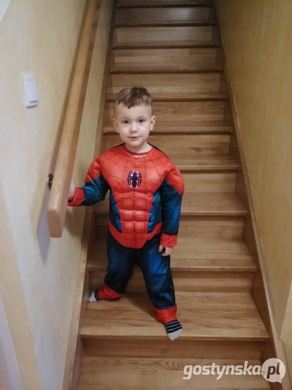 Spider-Man Ksawery 3 latka, Pudliszki