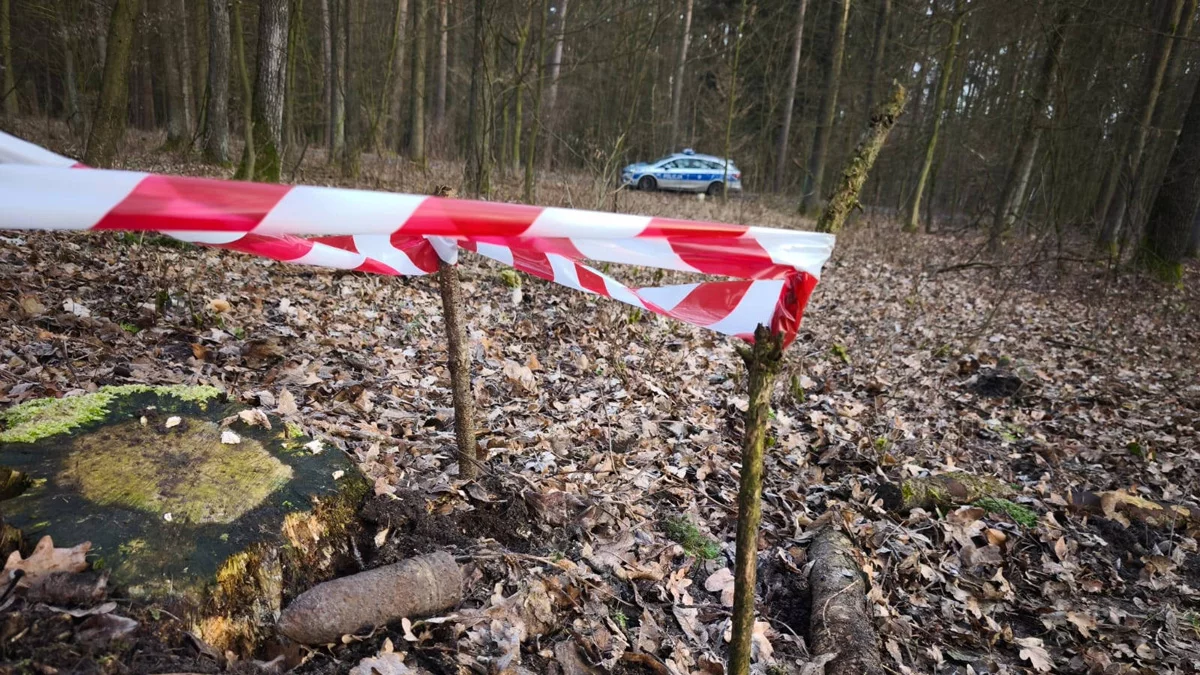 Pocisk artyleryjski w lesie między Siedlcem a Bodzewkiem - Zdjęcie główne