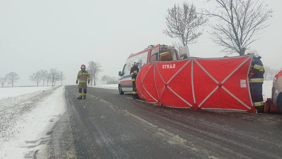 Wypadek na drodze wojewódzkiej nr 434 na trasie Gostyń-Rawicz - Zdjęcie główne