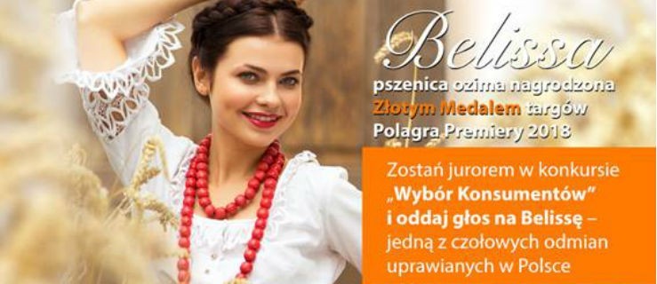 Głosuj na pszenicę Belissę - produkt z naszego regionu - Zdjęcie główne