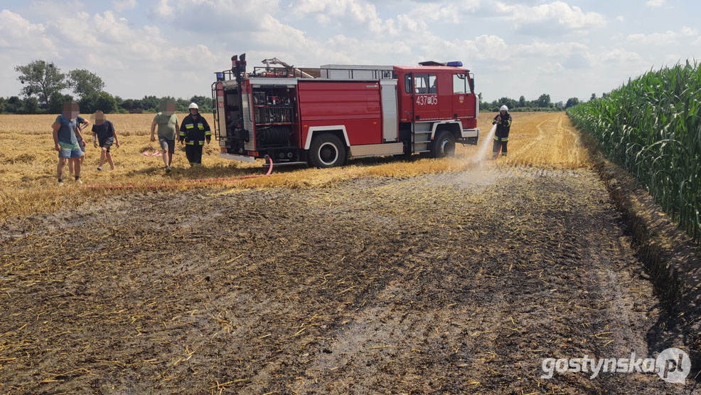 Borek Wlkp. Pożar zboża na pniu w Trzecianowie