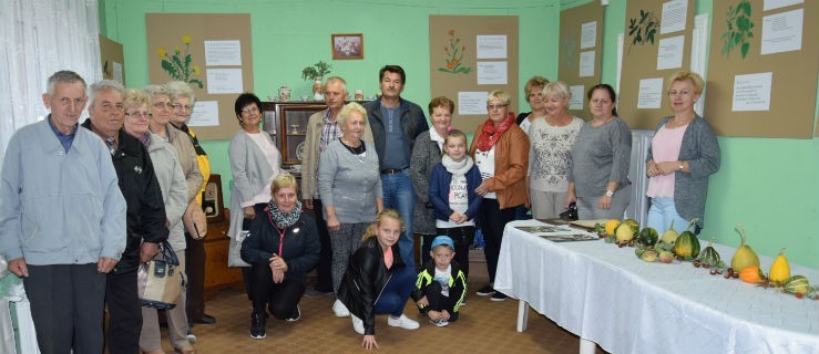 Zamiast tabletów i komputerów. Izba pachnąca ziołami - Zdjęcie główne