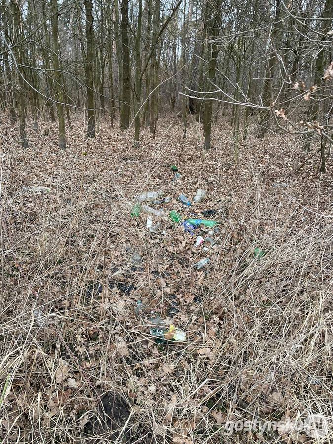 Las w Żytowiecku jest częstym miejscem wyrzucania śmieci. - Ja nie widzę żadnego uzasadnienia, żeby mieszkańcy wywozili swoje odpady do lasu - mówi Eugeniusz Karpiński, przewodniczący KZGRL