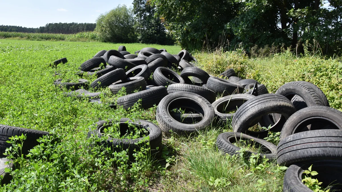 Góra opon przy lesie pod Koszkowem. Właściciel łąki oburzony. Wyznacza nagrodę za pomoc w odnalezieniu sprawcy - Zdjęcie główne