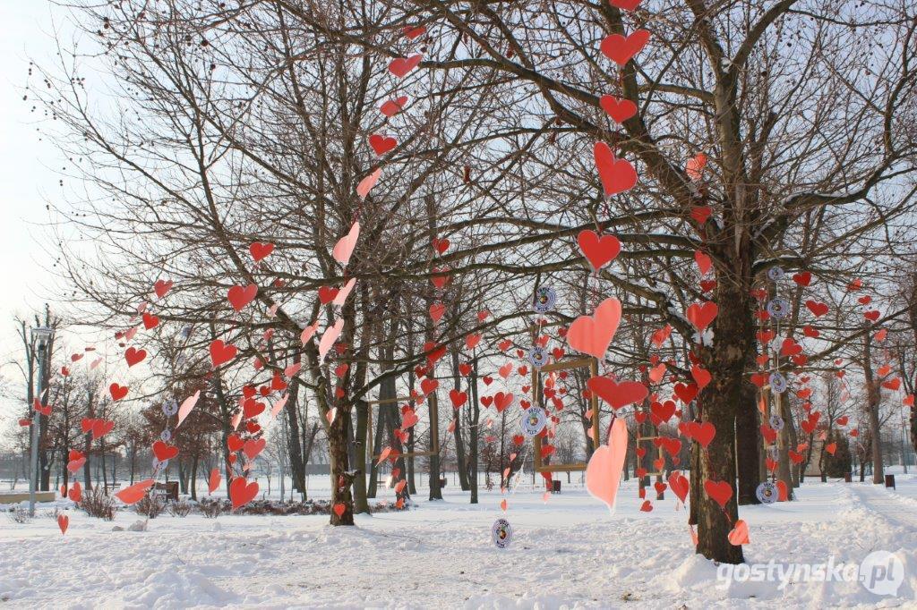 Plenerowa fotościanka w miejskim parku z okazji Walentynek. Można przyjść, zrobić sobie zdjęcie