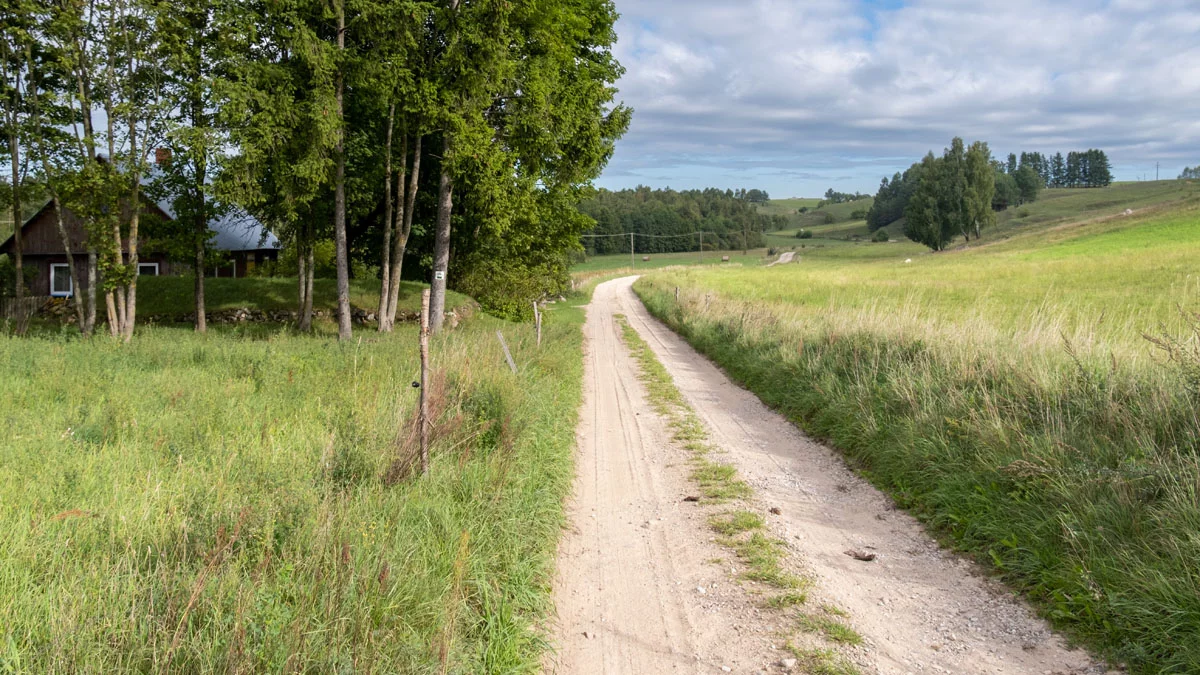 Przebudowane zostaną polne drogi, pojawią się miododajne drzewa. Do których gmin pójdą pieniądze?