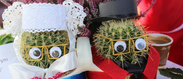 Dofinansują folklorystyczny festiwal - Zdjęcie główne